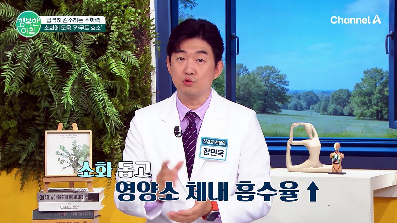 급격히 감소하는 소화력 소화에 도움 '카무트 효소'