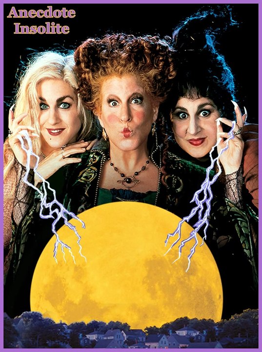Sorcière d'été - Anecdote Insolite (cinéma - Hocus Pocus)