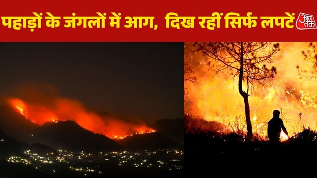 गर्मी की मार, विकराल आग से धधक रहे उत्तराखंड-हिमाचल के जंगल... देखें भयावह तस्वीरें
