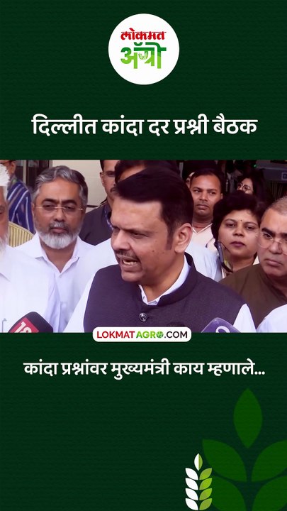 दिल्लीत कांदा खरेदीचा काय निर्णय झाला! | Maharashtra CM Eknath Shinde On Onion Procurement
