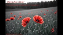 Opium für`s Volk? - Teil 6 - Ein Experiment