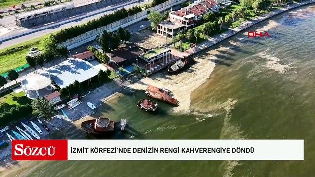 İzmit Körfezi’nde denizin rengi kahverengiye döndü