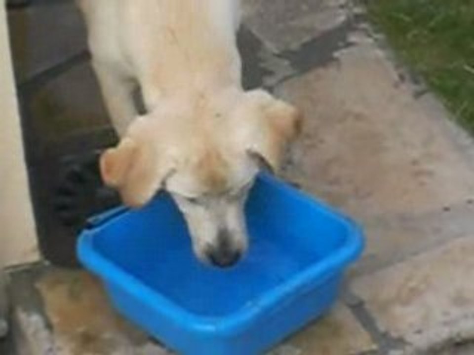 RIP la bassine