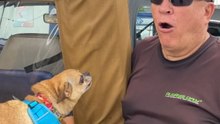 Man attempts to converse with a dog by imitating its barks and growls