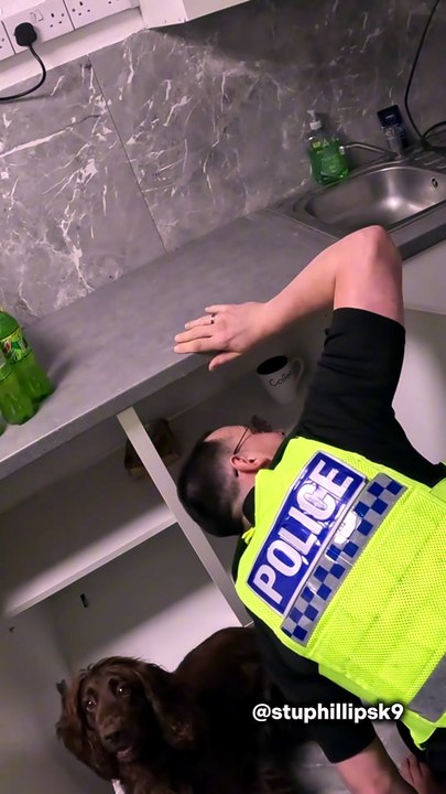 Un chien policier met au jour une cache secrète de tabac sous une cuisine à Walsall