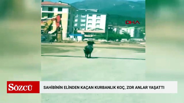 Sahibinin elinden kaçan kurbanlık koç, zor anlar yaşattı