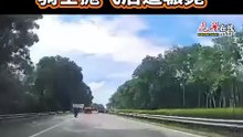 骑摩哆从狮城返马途中遇祸  好爸爸先遭撞飞后被碾毙