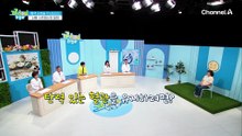 긴 낮잠은 혈관 손상 위험 증가!? 혈액 순환을 망가뜨리는 모세혈관 감소