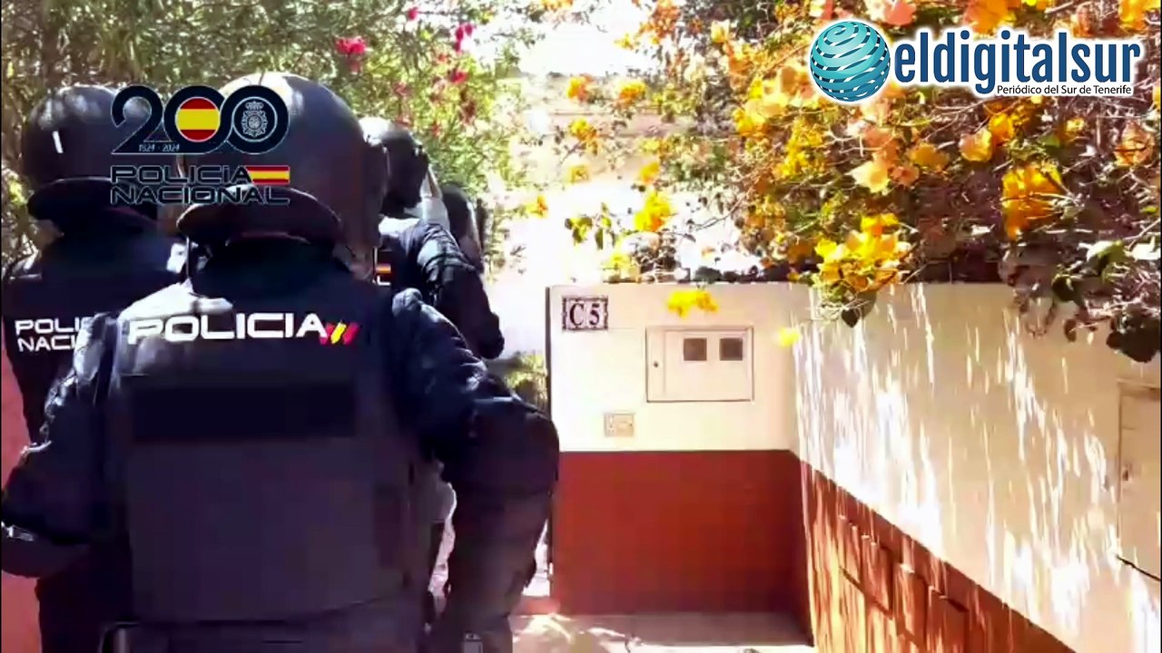 Cae en Tenerife una red con ocho clubes cannábicos, dos prostíbulos y una macroplantación de marihuana en proyecto