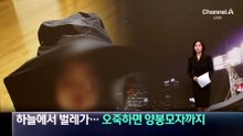 야구장 덮친 벌레 비…양봉 모자까지 등장