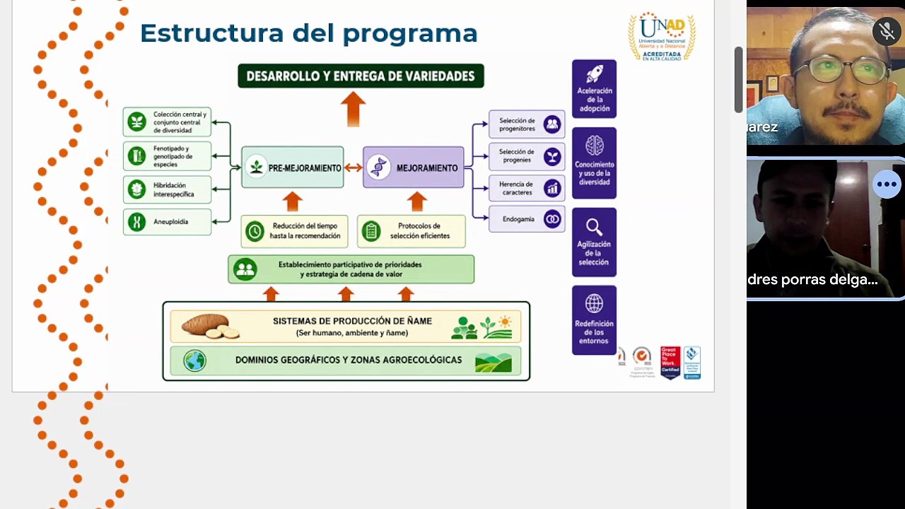 Programa ñame