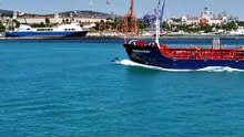 İstanbul Boğazı turkuaza büründü; yunus sürüleri gemilerle yarıştı