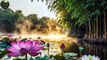 Relaxing Bamboo Tunes - Bamboo Music for Morning Yoga