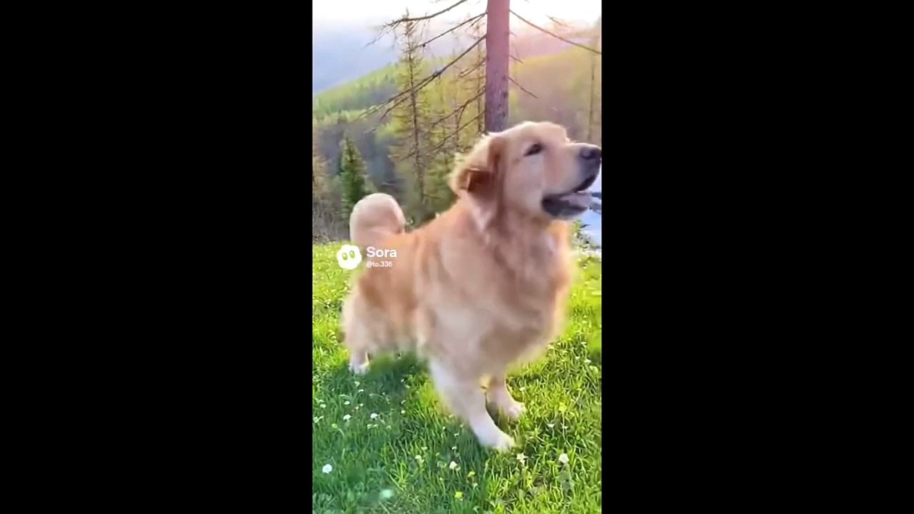 The first "Green Beam"