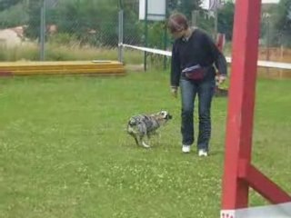 Démonstration obérythmée