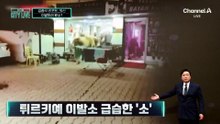 [김종석의 리포트]튀르키예 이발소 급습한 ‘소’