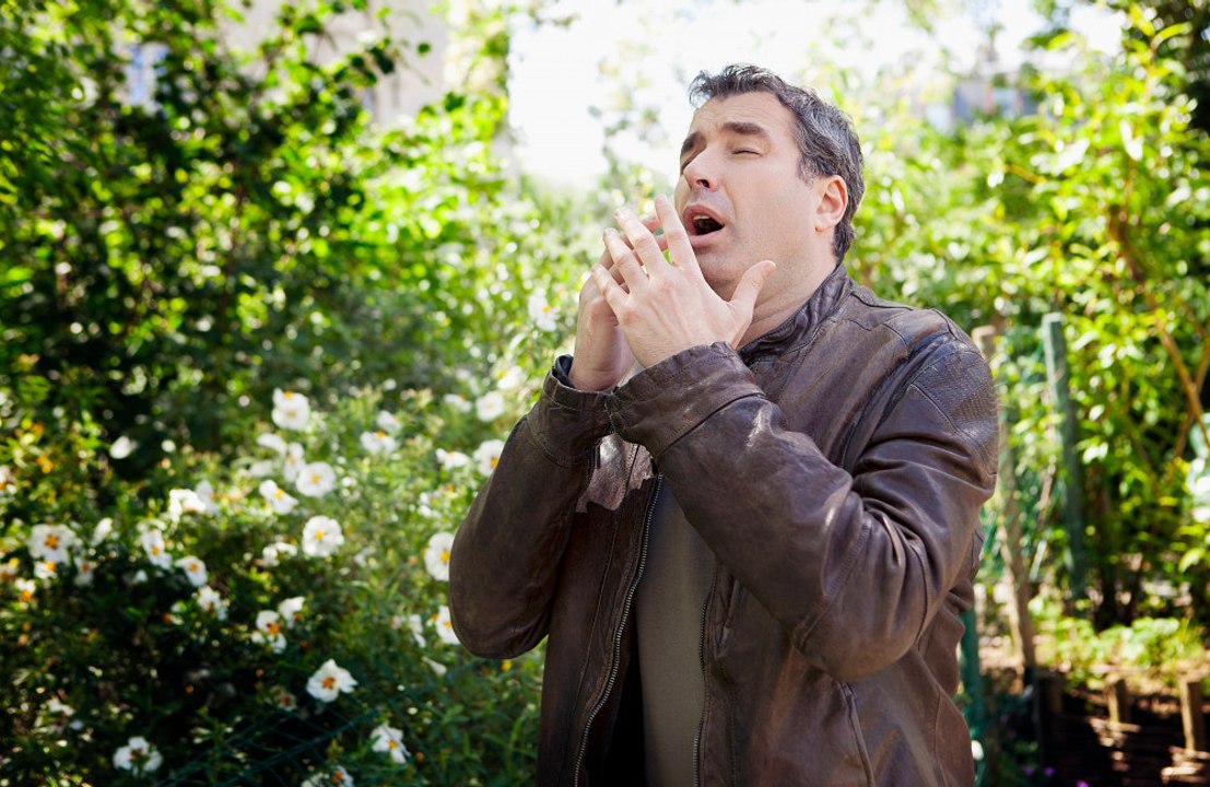 Hay fever sufferers are being warned to take extra care behind the wheel