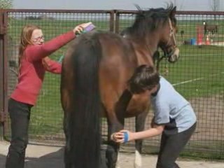 Create Stunning Photo Stories with Photorécit1 📸