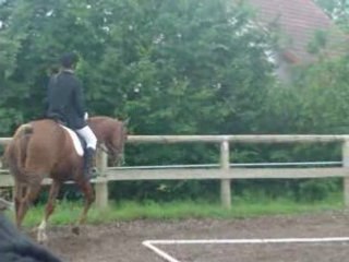 Emilie Olympe Dressage FF