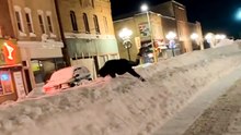 Woman awakens her inner parkour to cross a street in snow-mauled Minnesota