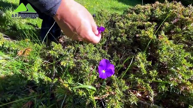 Appennino - L'anello del monte Nero – 16a puntata | Appennino - L'anello del monte Nero – 16a puntata