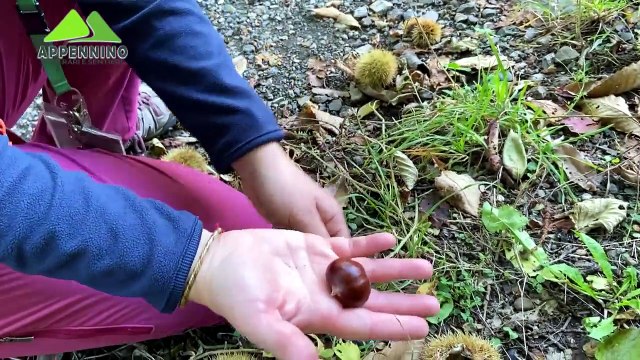 Appennino - Il borgo di Corchia e le antiche miniere – 9a puntata | Appennino - Il borgo di Corchia e le antiche miniere – 9a puntata