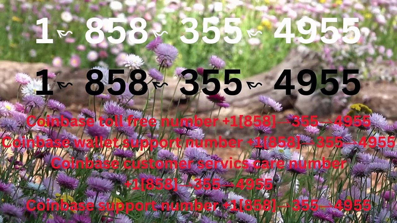 {{BEEN}}≋ F⇢ulL ⁂ 《||Coinbase®||》CUSTOMER CARE©SUPPoRT℗ Phone NuMber