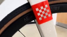 Trek Checkpoint Project One: What's Your Verdict?