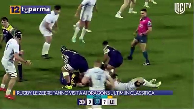 RUGBY, LE ZEBRE FANNO VISITA AI DRAGONS ULTIMI IN CLASSIFICA | RUGBY, LE ZEBRE FANNO VISITA AI DRAGONS ULTIMI IN CLASSIFICA