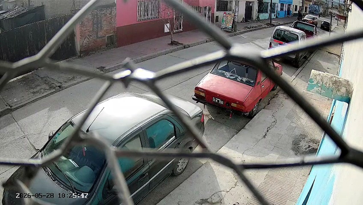 whatsapp video 2026-05-28 at 12.55.41.mp4
