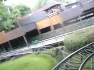 Bellewaerde cocinelle