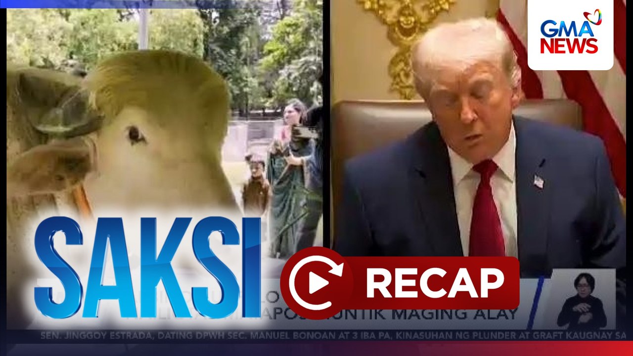 Saksi: (Part 3) "Trump" the buffalo; Paandar ng...