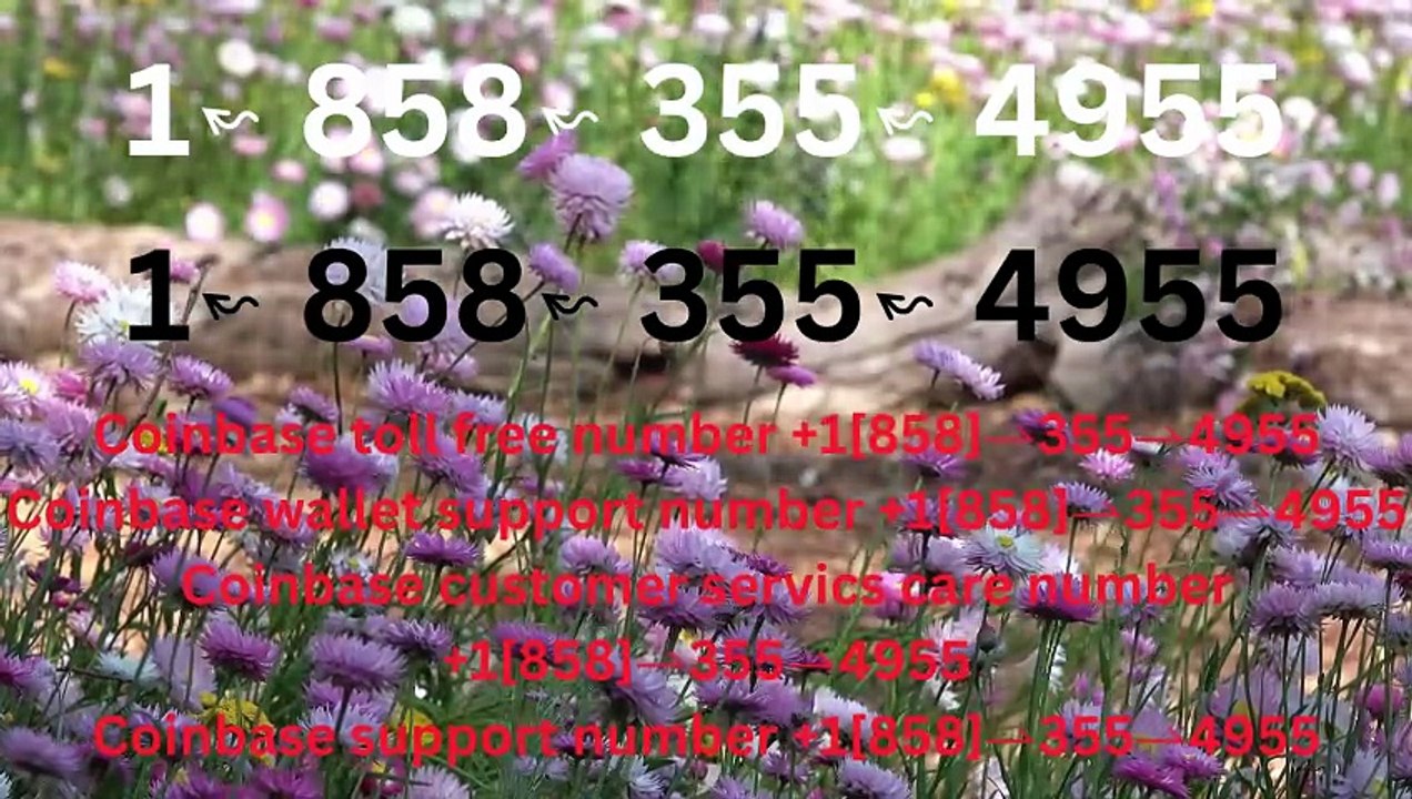 4955_!!!_Complete™ List of CoinbaseⓃ CUSTOMER© Care℗ (Toll Free Number Support) Numbers A Complete Guide
