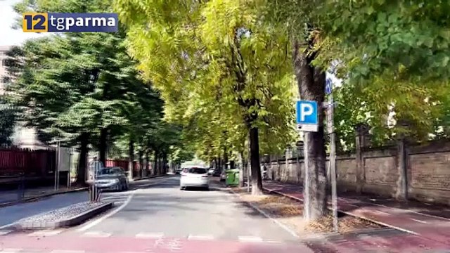 ASFALTATURA DI VIALE RUSTICI, SI CIRCOLA SOLO DA NORD A SUD | ASFALTATURA DI VIALE RUSTICI, SI CIRCOLA SOLO DA NORD A SUD