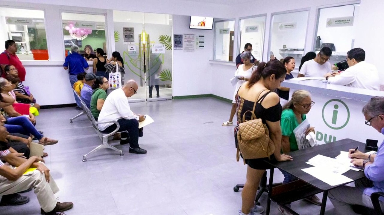 Notarios darán asesoría gratuita en la UMA | CPS Noticias Puerto Vallarta