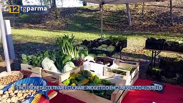 L'INCLUSIONE DA COLTIIVARE E CUCINARE : PROGETTO DI EMC2 PRESENTATO A LOSTELLO | L'INCLUSIONE DA COLTIIVARE E CUCINARE : PROGETTO DI EMC2 PRESENTATO A LOSTELLO