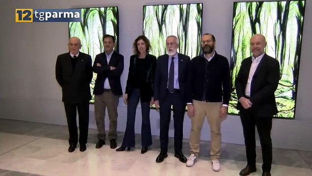 IMPRONTE , LA MOSTRA VISITABILE A PALAZZO DEL GOVERNATORE | IMPRONTE , LA MOSTRA VISITABILE A PALAZZO DEL GOVERNATORE