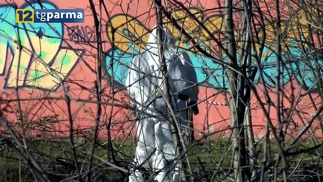 CADAVERE RITROVATO IN VIA SIDOLI: RILIEVI ANCORA IN CORSO | CADAVERE RITROVATO IN VIA SIDOLI: RILIEVI ANCORA IN CORSO
