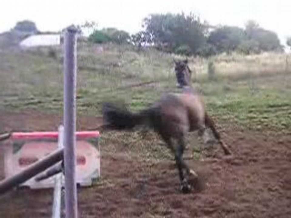 Doudou ki saute en longe