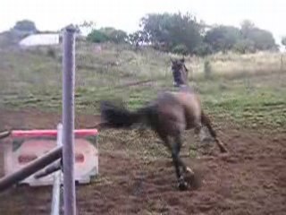 Doudou ki saute en longe