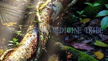 Tribal Flame | Jaguar Medicine Tribe