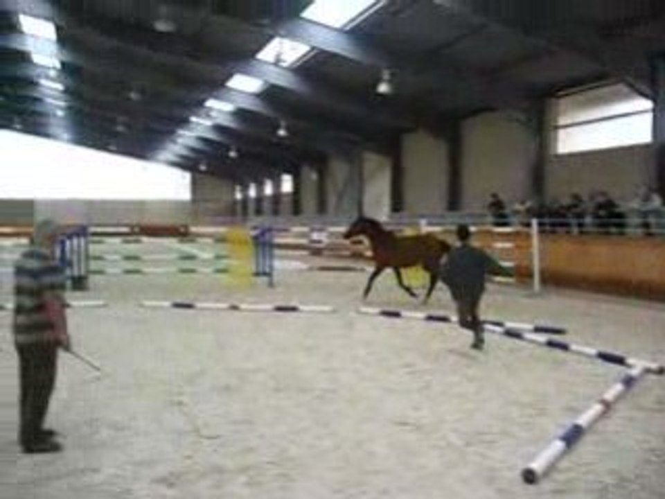 salsa saut