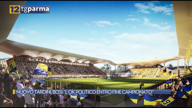 NUOVO TARDINI, BOSI: L'OK POLITICO ENTRO FINE CAMPIONATO | NUOVO TARDINI, BOSI: L'OK POLITICO ENTRO FINE CAMPIONATO
