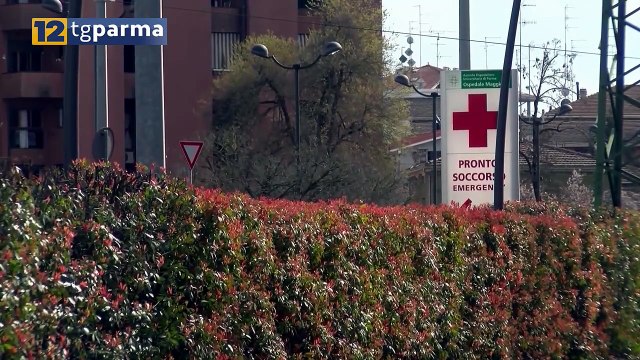 ALBERI, INCENDIO IN UNA VILLETTA: GRAVE UN 45ENNE | ALBERI, INCENDIO IN UNA VILLETTA: GRAVE UN 45ENNE