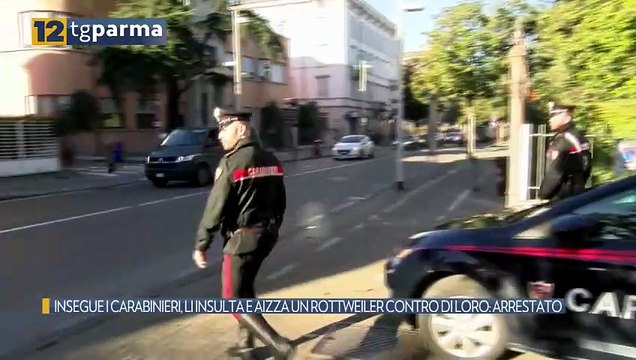 INSEGUE I CARABINIERI, LI INSULTA E AIZZA UN ROTTWEILER CONTRO DI LORO: ARRESTATO | INSEGUE I CARABINIERI, LI INSULTA E AIZZA UN ROTTWEILER CONTRO DI LORO: ARRESTATO