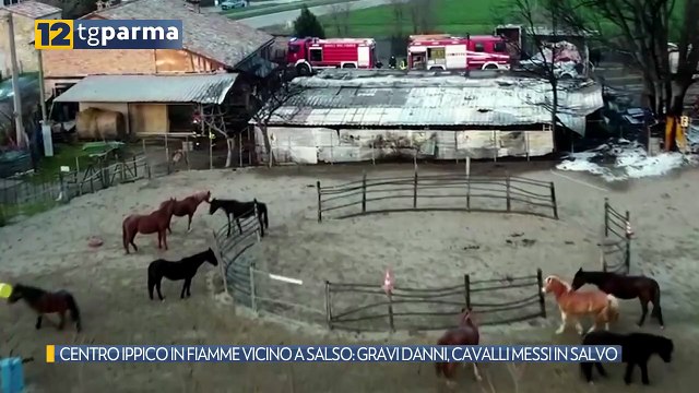 CENTRO IPPICO IN FIAMME VICINO A SALSO: GRAVI DANNI, CAVALLI MESSI IN SALVO | CENTRO IPPICO IN FIAMME VICINO A SALSO: GRAVI DANNI, CAVALLI MESSI IN SALVO