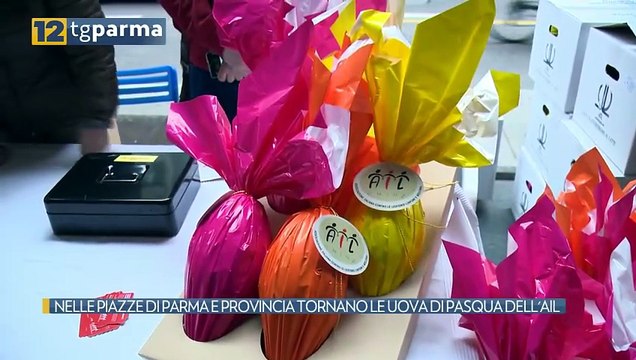 NELLE PIAZZE DI PARMA E PROVINCIA TORNANO LE UOVA DI PASQUA DELL'AIL | NELLE PIAZZE DI PARMA E PROVINCIA TORNANO LE UOVA DI PASQUA DELL'AIL
