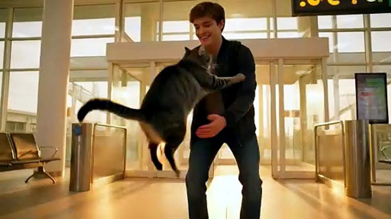 Cat sees its owner for the first time after 2 years