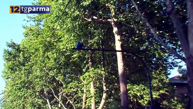 PIETRO VIGNALI: NUOVA AREA VERDE CON EFFETTI DISASTROSI SUL COMMERCIO | PIETRO VIGNALI: NUOVA AREA VERDE CON EFFETTI DISASTROSI SUL COMMERCIO