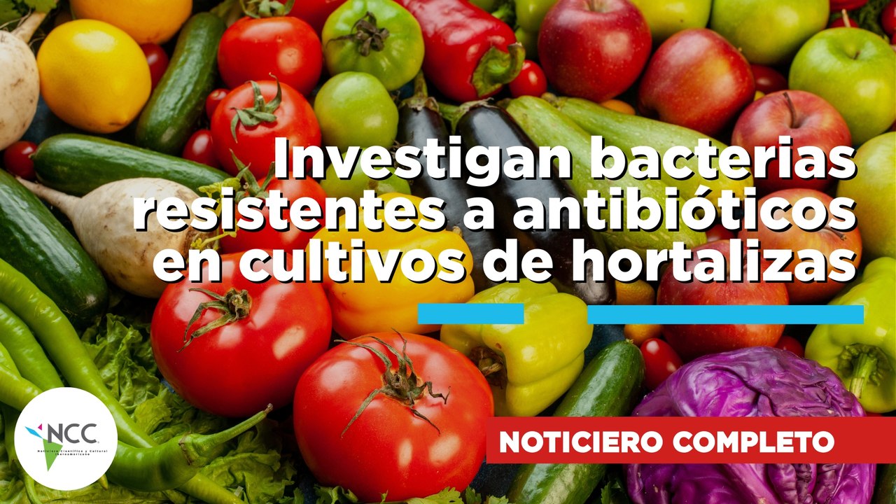 Investigan bacterias resistentes a antibióticos en cultivos de hortalizas | 869 | 01 - 07 mayo 2026